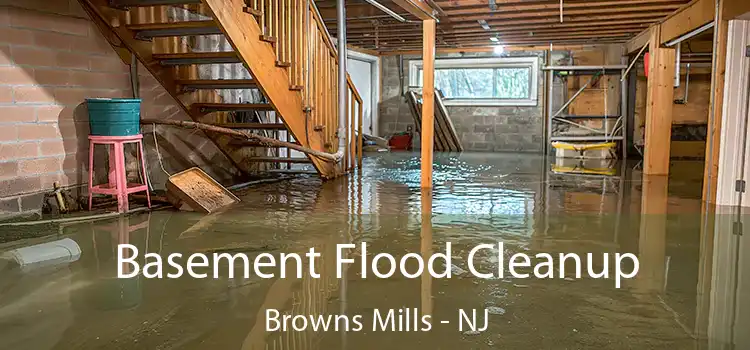 Basement Flood Cleanup Browns Mills - NJ