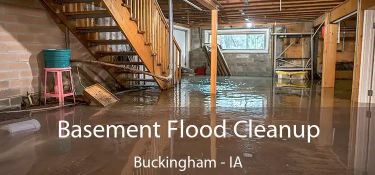 Basement Flood Cleanup Buckingham - IA