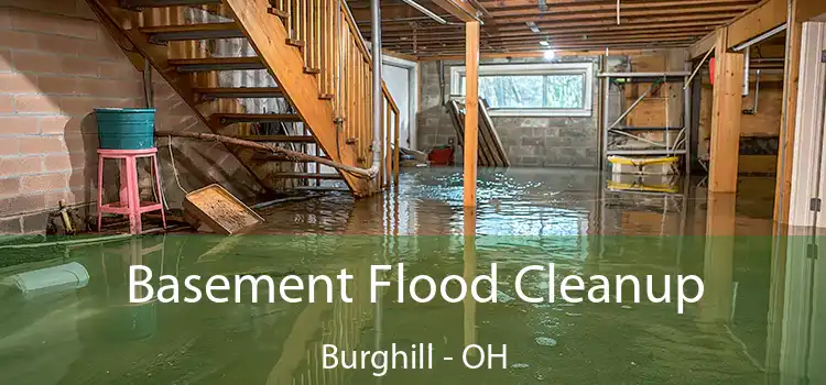 Basement Flood Cleanup Burghill - OH