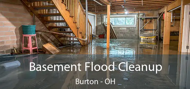 Basement Flood Cleanup Burton - OH