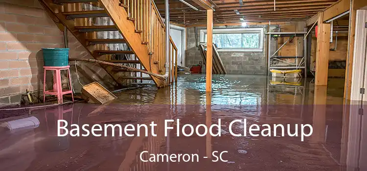 Basement Flood Cleanup Cameron - SC