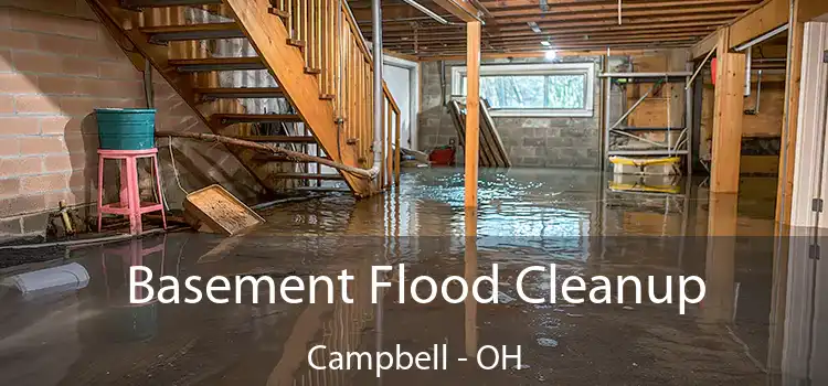 Basement Flood Cleanup Campbell - OH