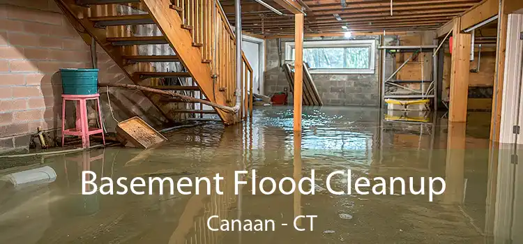 Basement Flood Cleanup Canaan - CT