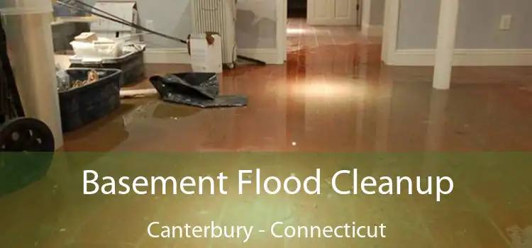 Basement Flood Cleanup Canterbury - Connecticut