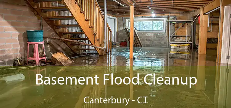 Basement Flood Cleanup Canterbury - CT