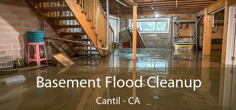 Basement Flood Cleanup Cantil - CA