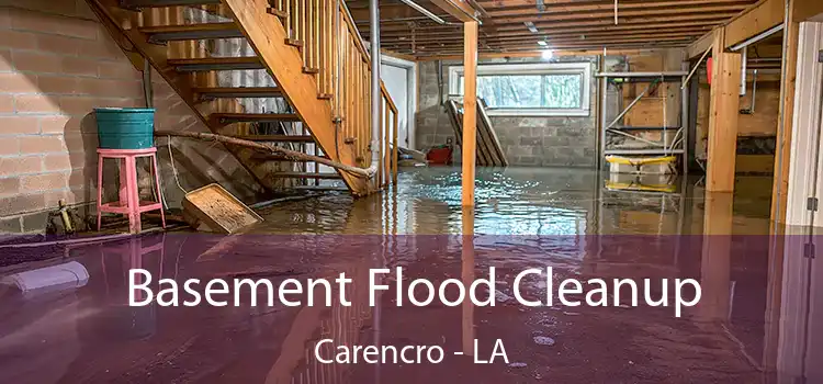 Basement Flood Cleanup Carencro - LA