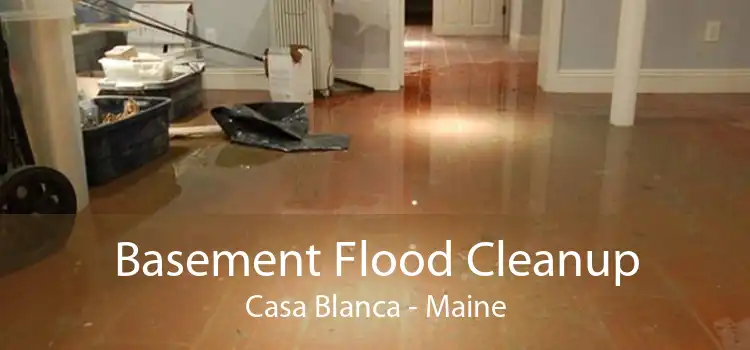 Basement Flood Cleanup Casa Blanca - Maine