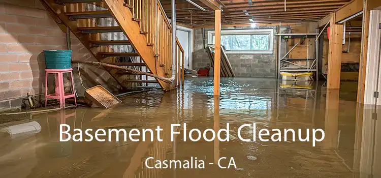 Basement Flood Cleanup Casmalia - CA