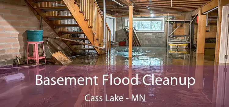 Basement Flood Cleanup Cass Lake - MN