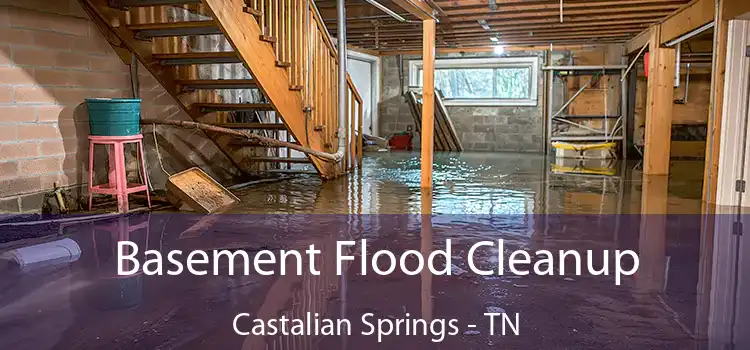 Basement Flood Cleanup Castalian Springs - TN