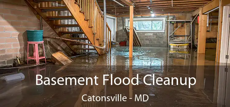 Basement Flood Cleanup Catonsville - MD