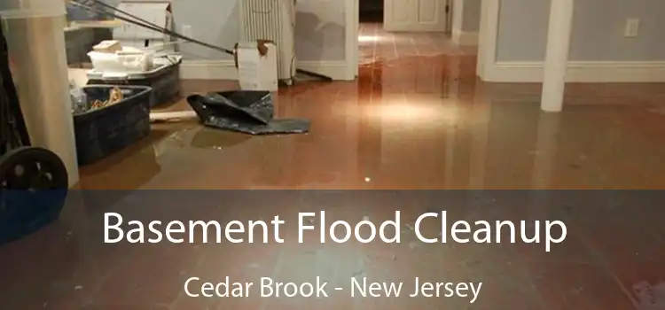 Basement Flood Cleanup Cedar Brook - New Jersey