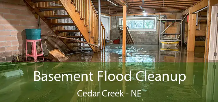 Basement Flood Cleanup Cedar Creek - NE