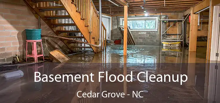 Basement Flood Cleanup Cedar Grove - NC