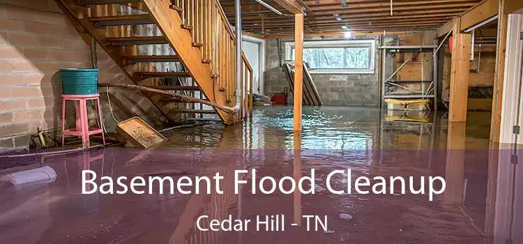 Basement Flood Cleanup Cedar Hill - TN