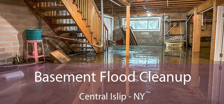 Basement Flood Cleanup Central Islip - NY