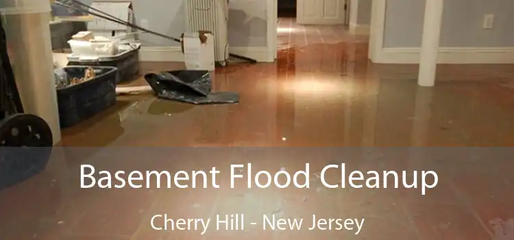 Basement Flood Cleanup Cherry Hill - New Jersey