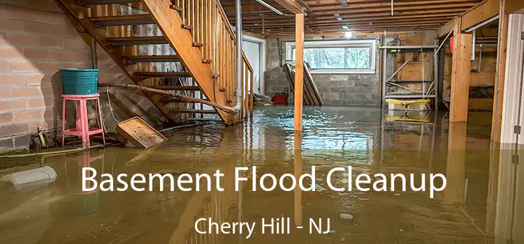 Basement Flood Cleanup Cherry Hill - NJ