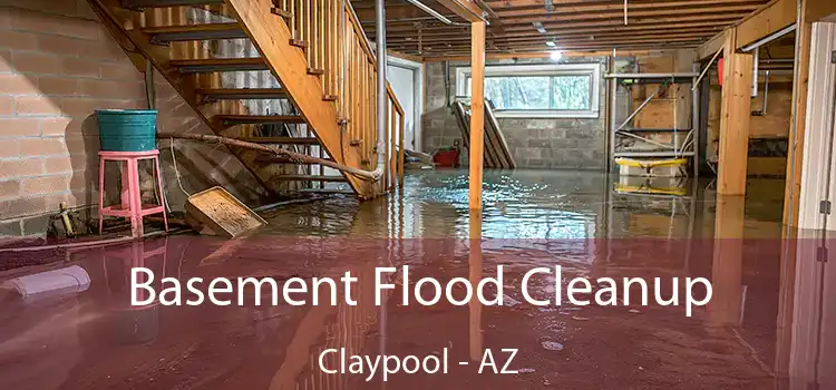 Basement Flood Cleanup Claypool - AZ