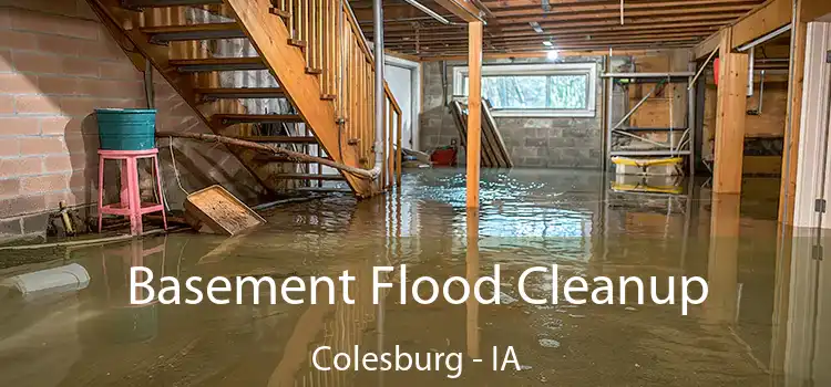 Basement Flood Cleanup Colesburg - IA