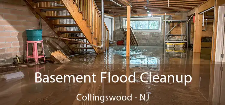 Basement Flood Cleanup Collingswood - NJ