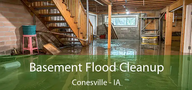 Basement Flood Cleanup Conesville - IA