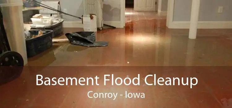 Basement Flood Cleanup Conroy - Iowa