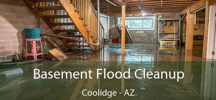 Basement Flood Cleanup Coolidge - AZ