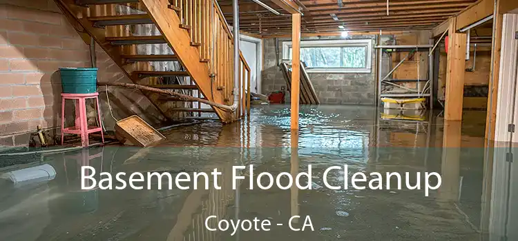 Basement Flood Cleanup Coyote - CA