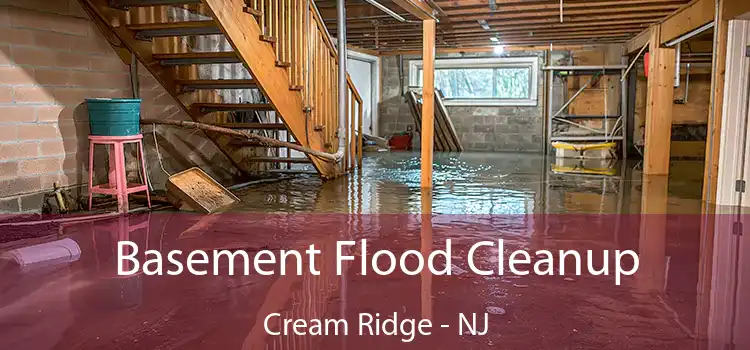 Basement Flood Cleanup Cream Ridge - NJ