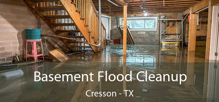 Basement Flood Cleanup Cresson - TX