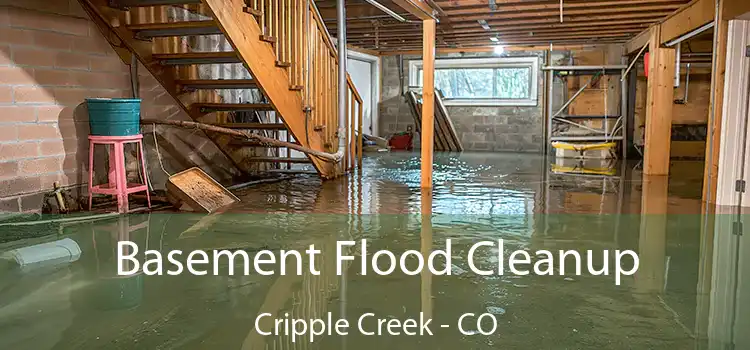 Basement Flood Cleanup Cripple Creek - CO