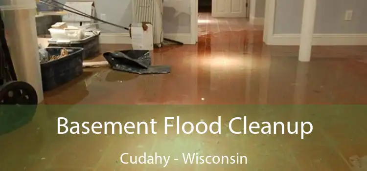 Basement Flood Cleanup Cudahy - Wisconsin