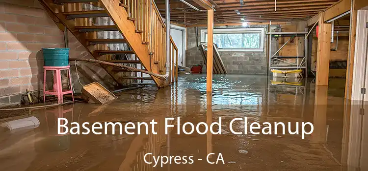 Basement Flood Cleanup Cypress - CA