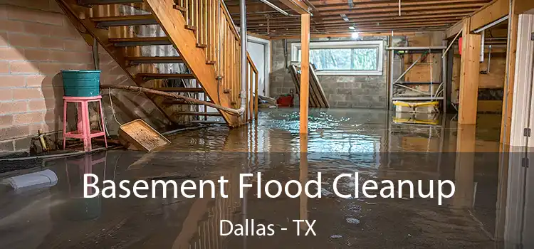 Basement Flood Cleanup Dallas - TX