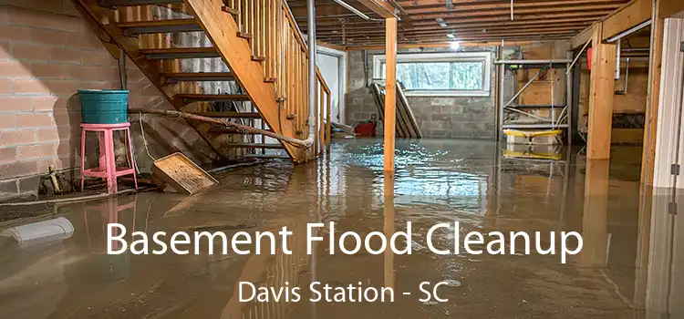 Basement Flood Cleanup Davis Station - SC