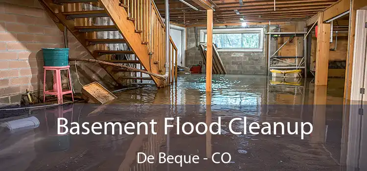 Basement Flood Cleanup De Beque - CO