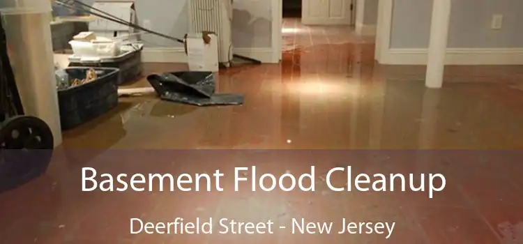 Basement Flood Cleanup Deerfield Street - New Jersey