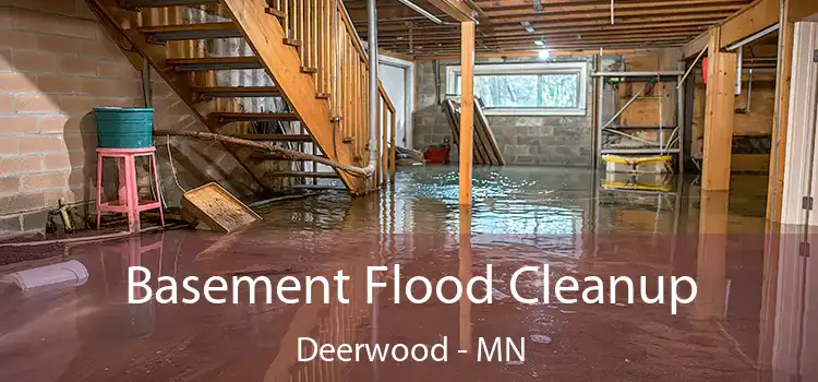 Basement Flood Cleanup Deerwood - MN