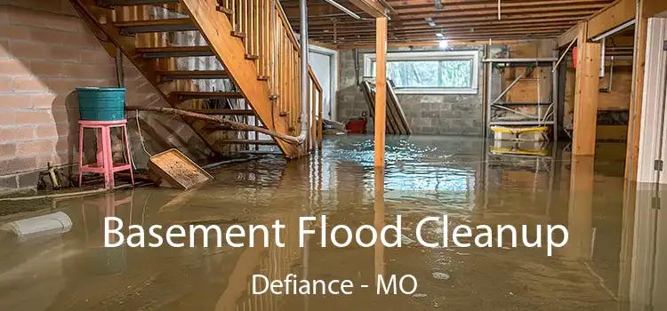 Basement Flood Cleanup Defiance - MO