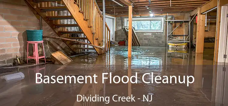 Basement Flood Cleanup Dividing Creek - NJ