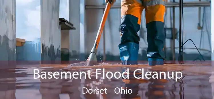 Basement Flood Cleanup Dorset - Ohio