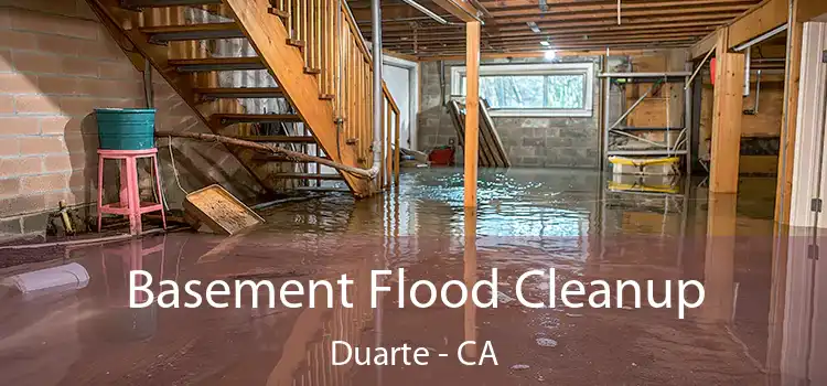 Basement Flood Cleanup Duarte - CA