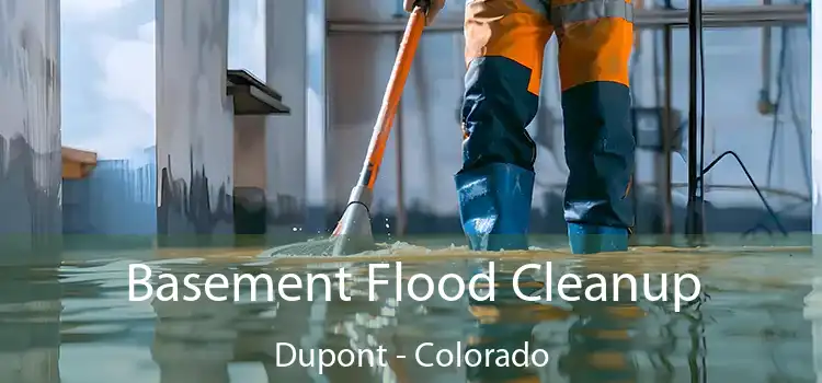 Basement Flood Cleanup Dupont - Colorado