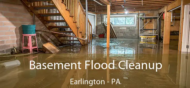 Basement Flood Cleanup Earlington - PA