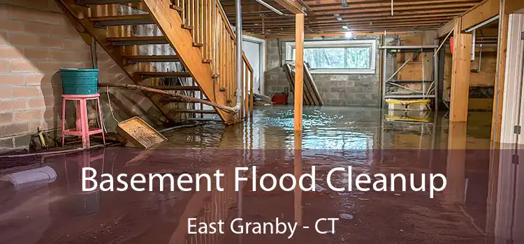 Basement Flood Cleanup East Granby - CT