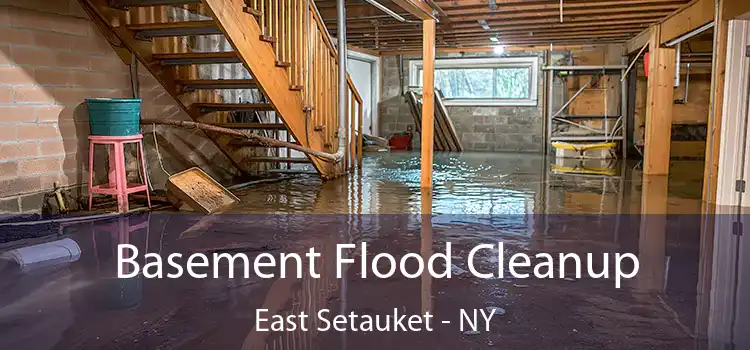 Basement Flood Cleanup East Setauket - NY