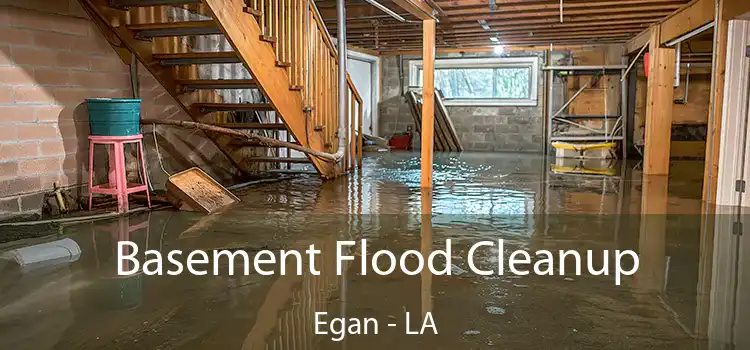 Basement Flood Cleanup Egan - LA