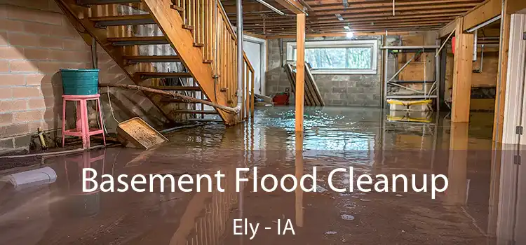 Basement Flood Cleanup Ely - IA